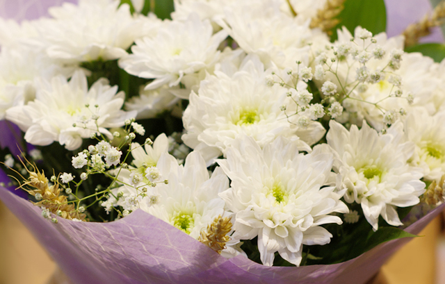 紫色の不織布でラッピングされた白い花の花束