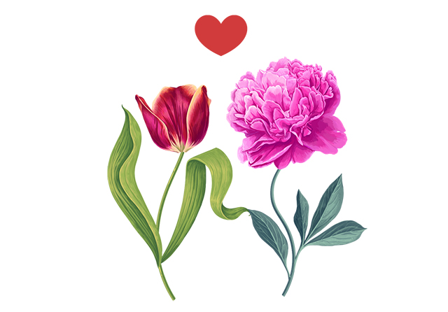 ハートマークを浮かべる、赤いチューリップとピンクの花