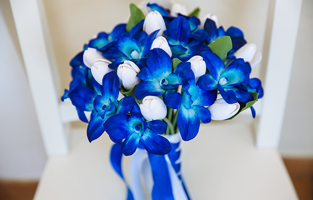 濃い青色の花と白のチューリップのブーケ