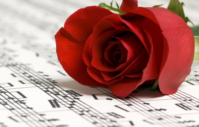 赤いバラの下に敷かれた楽譜