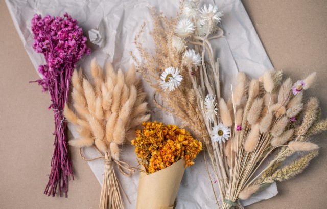 ドライフラワー