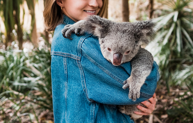 コアラを抱っこする女性