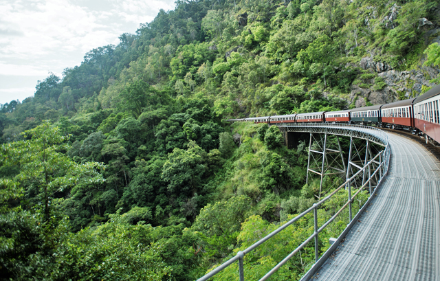 熱帯雨林と走る列車